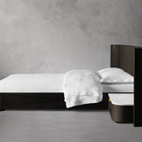 07 e458b4d0 c32d 4b79 a15b efb026e56abc