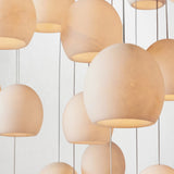 11 f500d86a 9032 42d3 9ec3 081c6dc3c01d