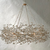 66636H644 240319 01 Photoroom