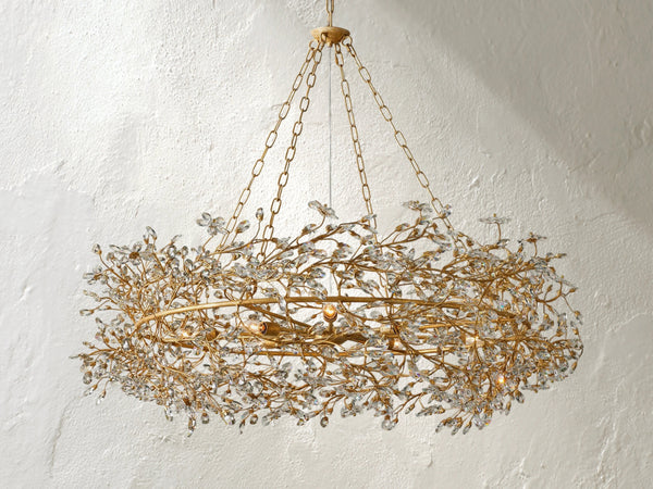 66636H646 S231117 01 Photoroom