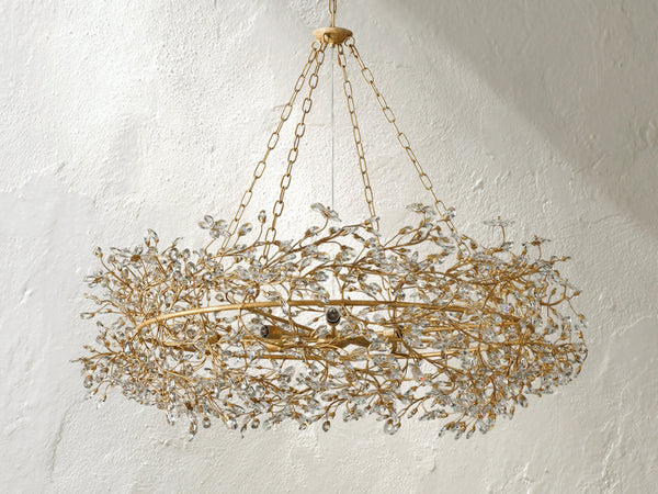 66636H646 S231117 02 Photoroom