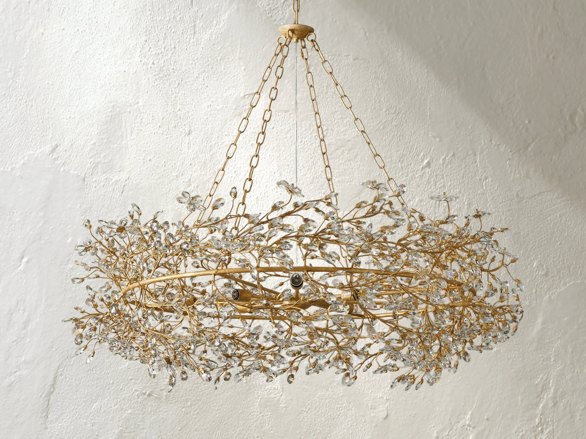 66636H646 S231117 02 Photoroom