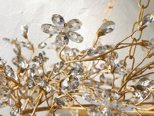 66636H646 S231117 03 Photoroom