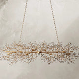 66636H647 240205 01Photoroom