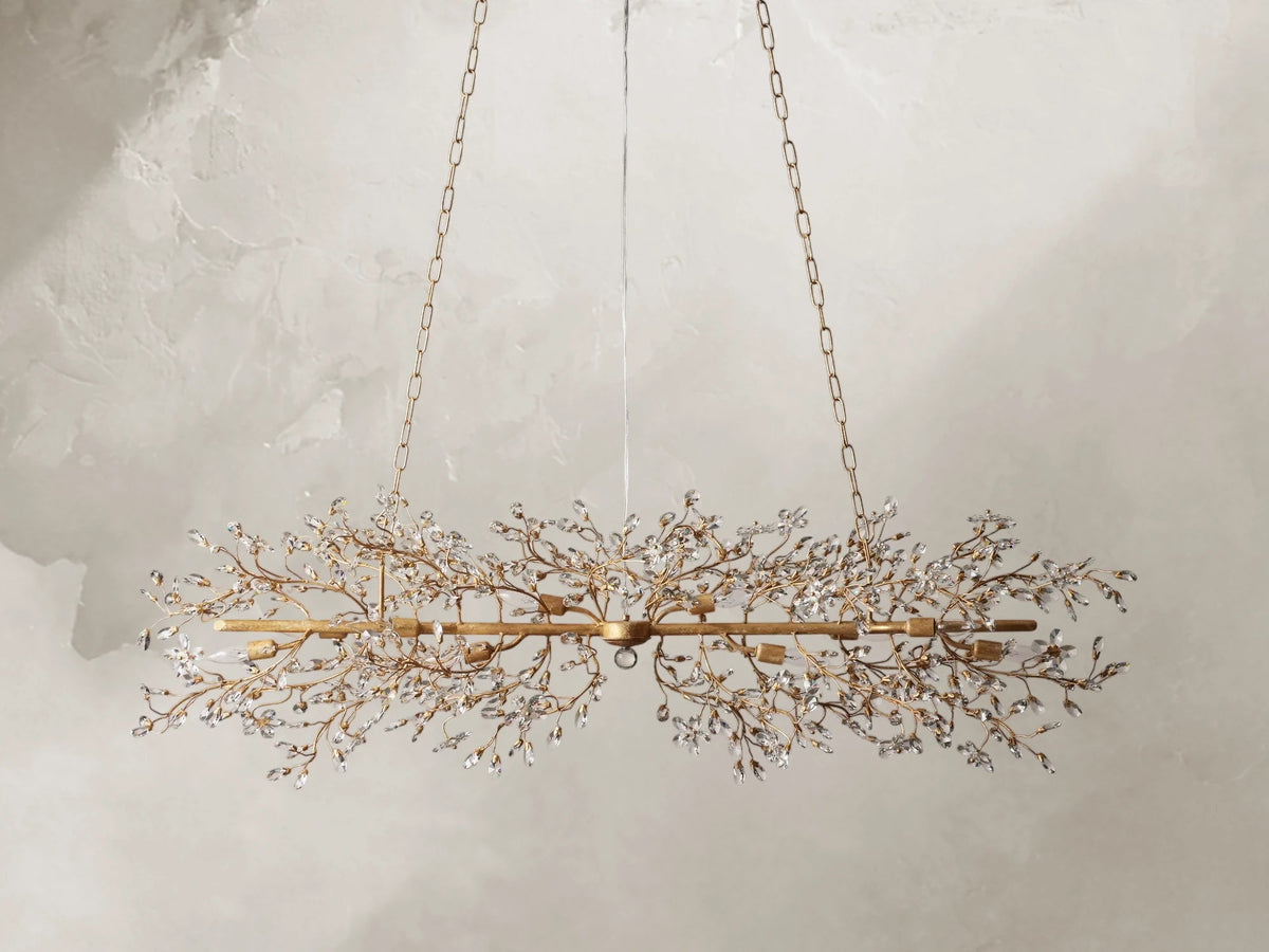 66636H647 240205 01Photoroom