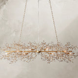 66636H647 240205 02Photoroom