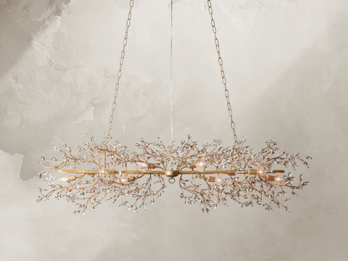 66636H647 240205 02Photoroom