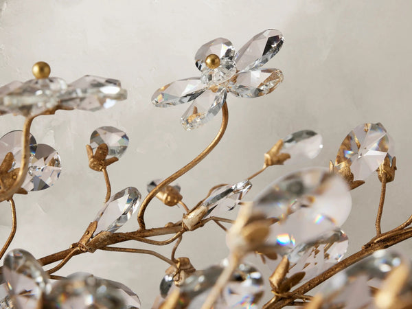 66636H647 240205 03Photoroom