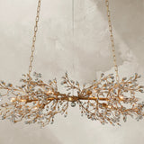 66636H682 240205 02Photoroom