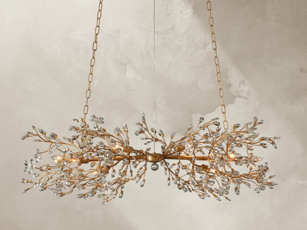 66636H682 240205 02Photoroom