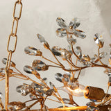 66636H682 240205 03Photoroom