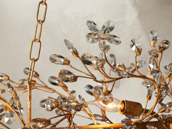 66636H682 240205 03Photoroom