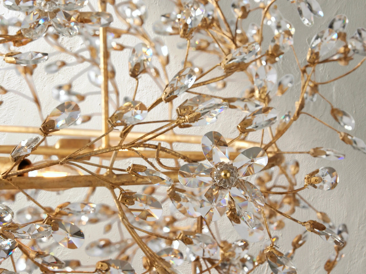 66636H685 G240925 03 Photoroom