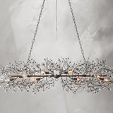 66636H698 H241014 02Photoroom