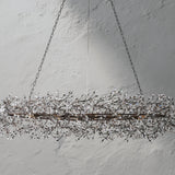 66636H704 BU241014 02 Photoroom