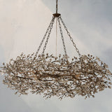 66636H710 F240925 01 Photoroom Photoroom