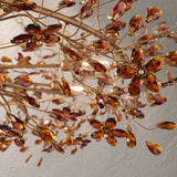 66636H715 V24092003 Photoroom